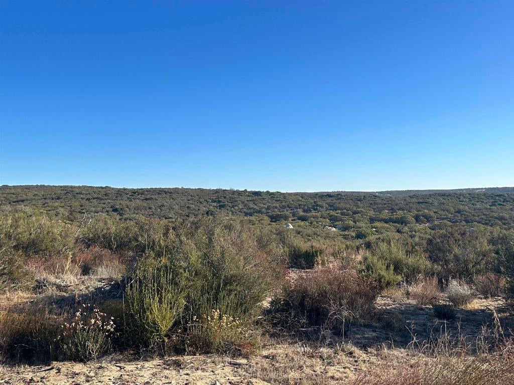 Photo of Listing #PTP2601471