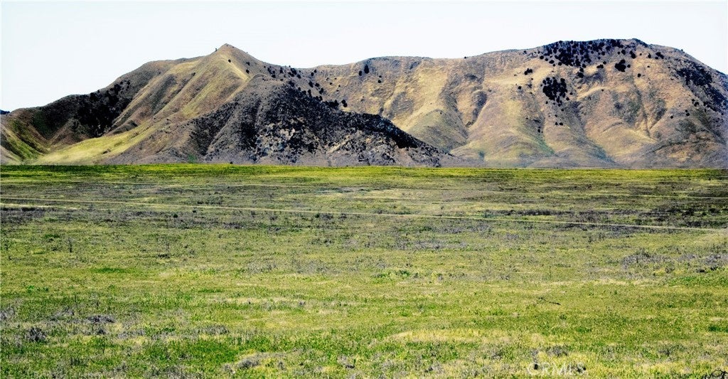 Photo of Listing #PI26042694