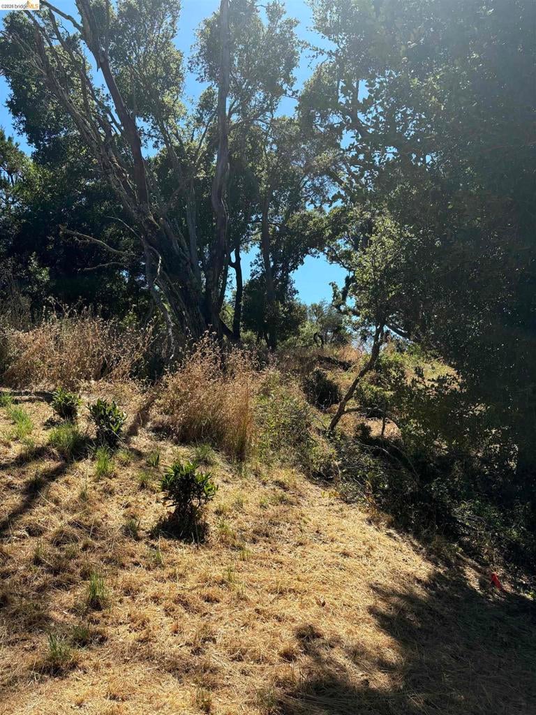 Photo of Listing #41125278