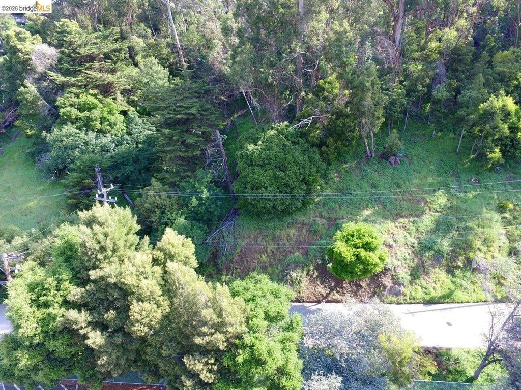 Photo of Listing #41125303