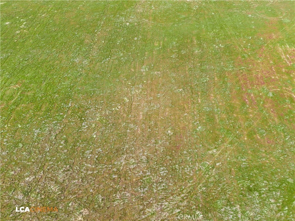 Photo of Listing #NS26043329