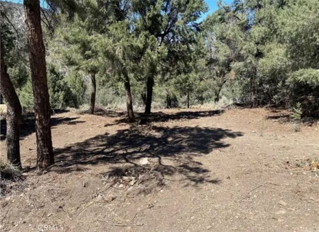 2217 Saint Bernard Drive, Pine Mountain Club
