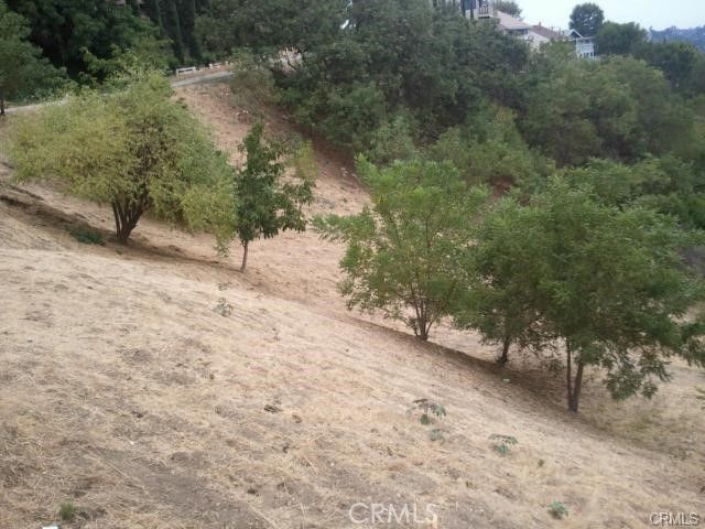 3633 E Richardson, Glassell Park