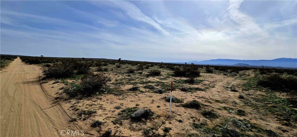 Photo of Listing #DW26043941