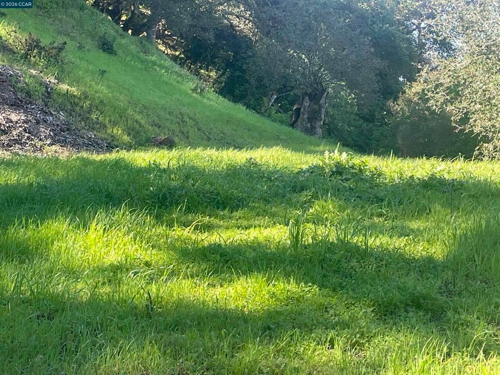 Photo of Listing #41125525