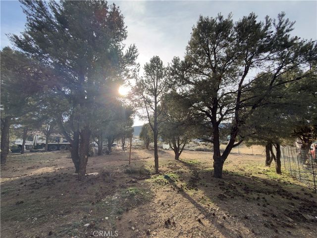 1820 Golden Rod, Big Bear City
