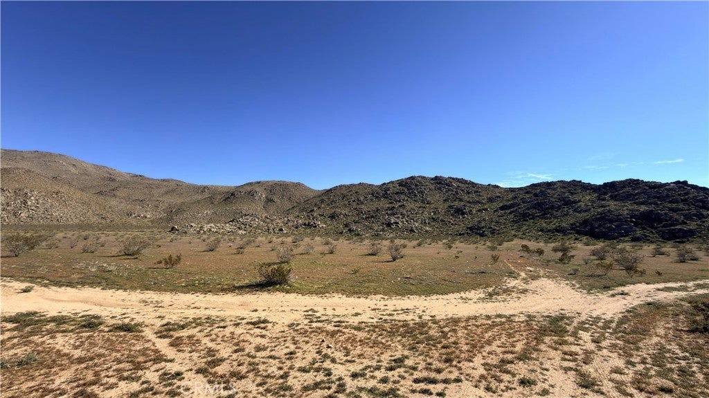 Photo of Listing #HD26044189