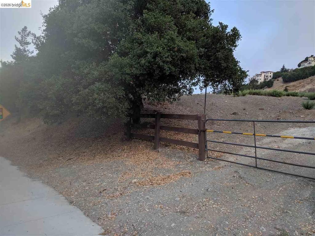 Photo of Listing #41125591