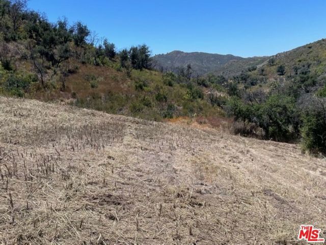 Newton Canyon Road, Malibu
