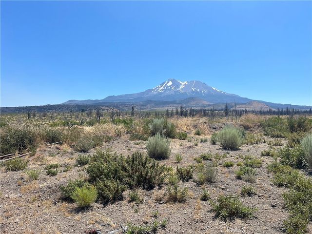 Juniper Valley, Weed