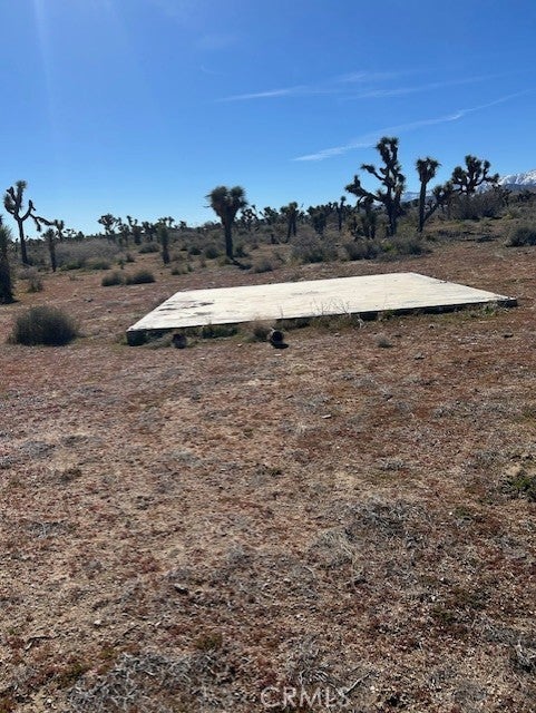 Photo of Listing #HD26042839