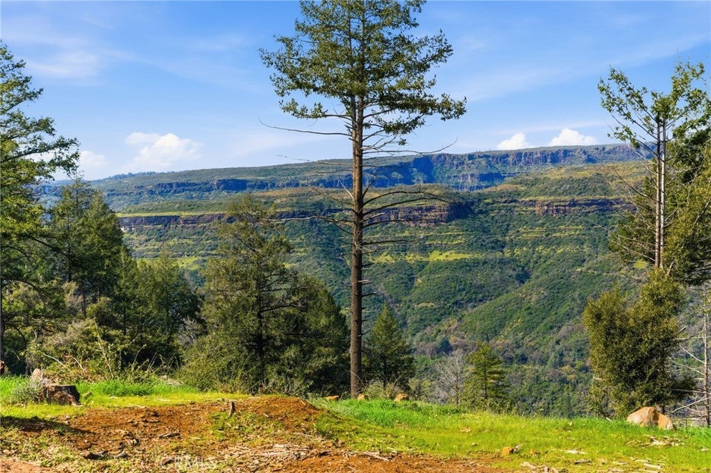 Photo of Listing #SN26045517