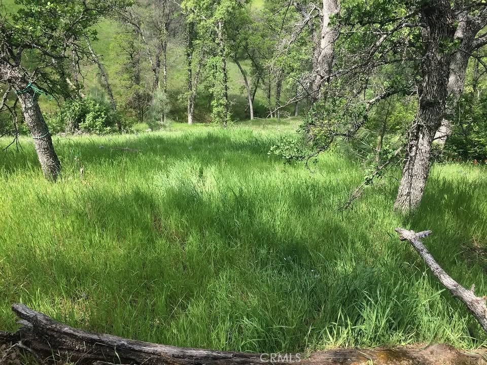 Photo of Listing #SN26038600