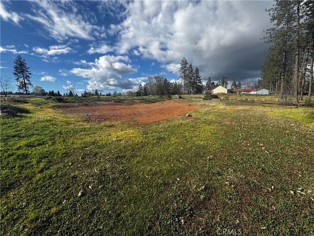 1711 Timber, Paradise
