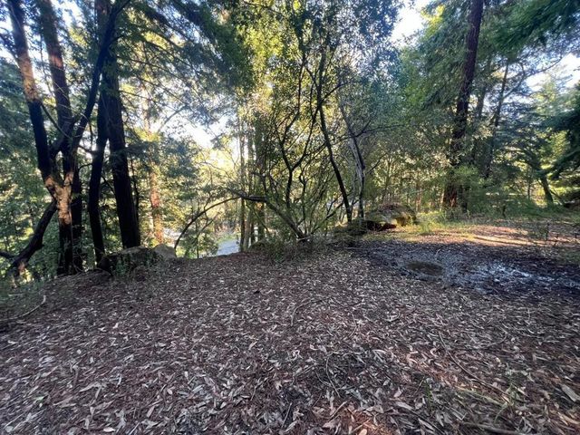 559 Patrol Road, Woodside