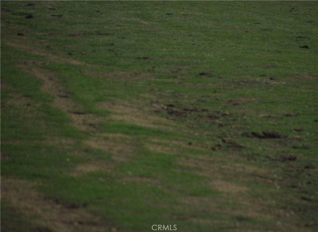 Photo of Listing #IG26046104