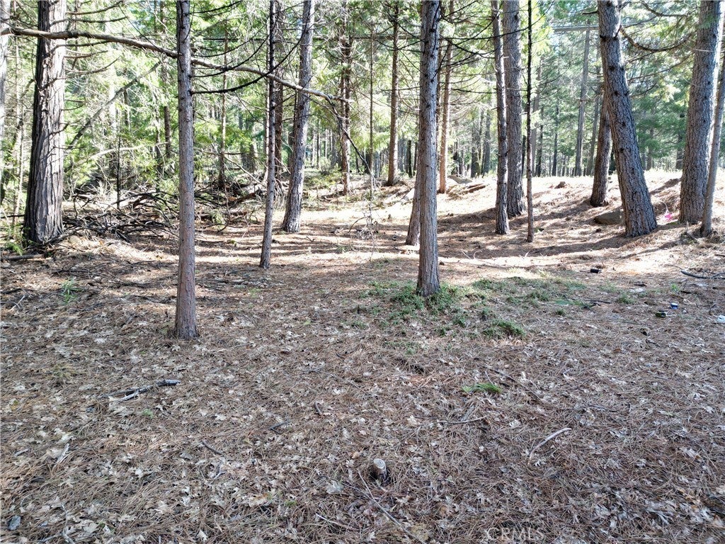 Photo of Listing #SN26046196