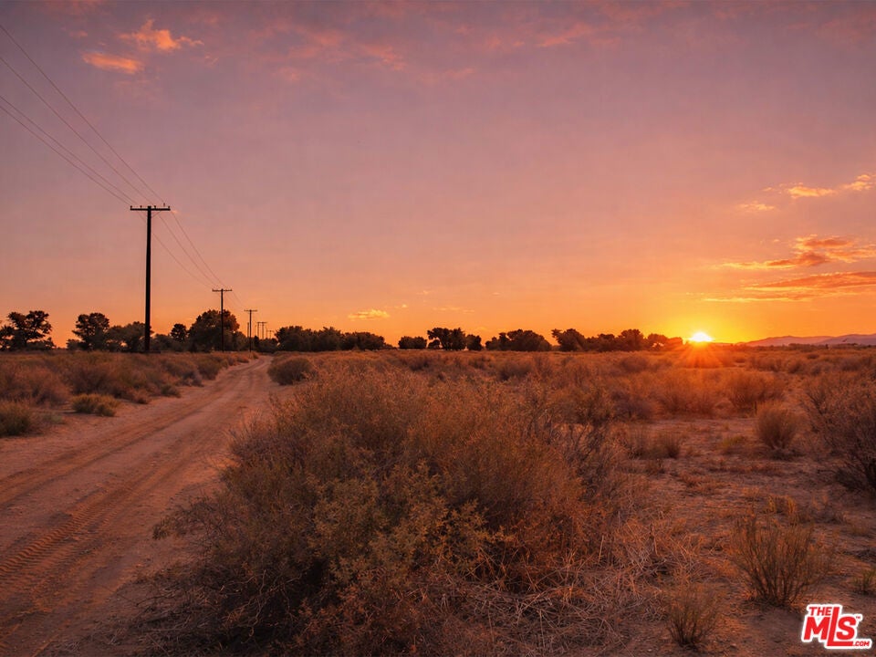 Photo of Listing #26659547