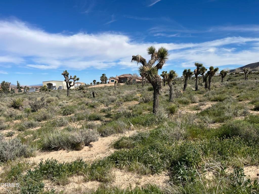 Photo of Listing #P1-26100