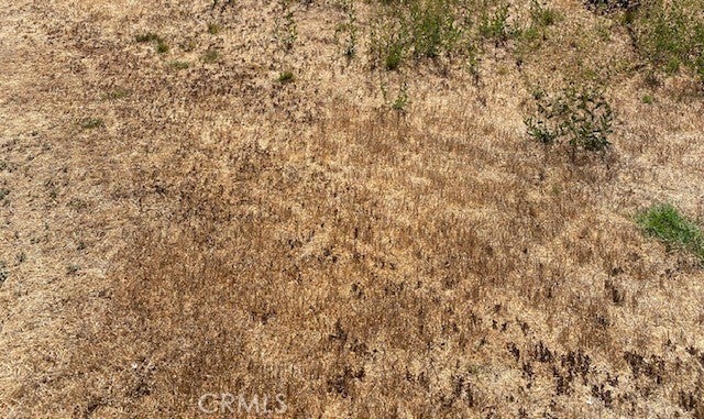 Photo of Listing #PW26047604