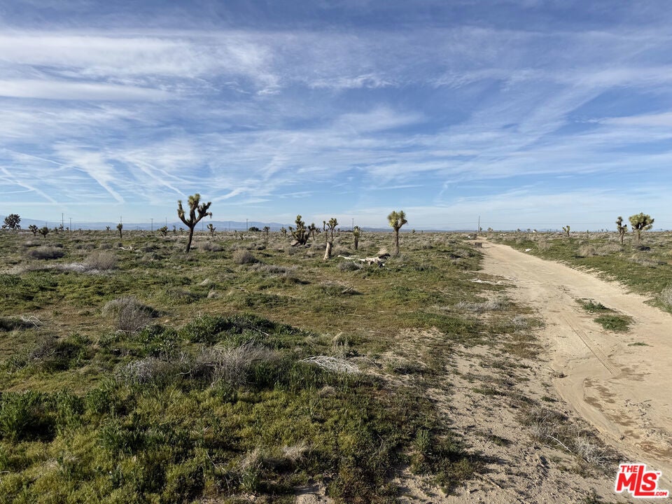 Photo of Listing #26659967