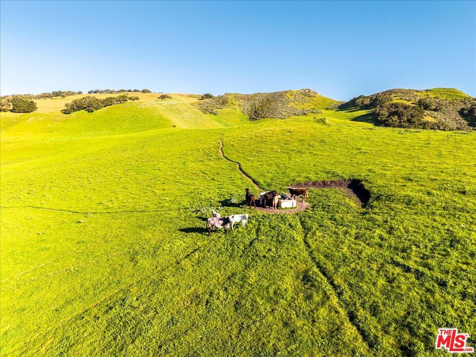 Photo of Listing #26648881