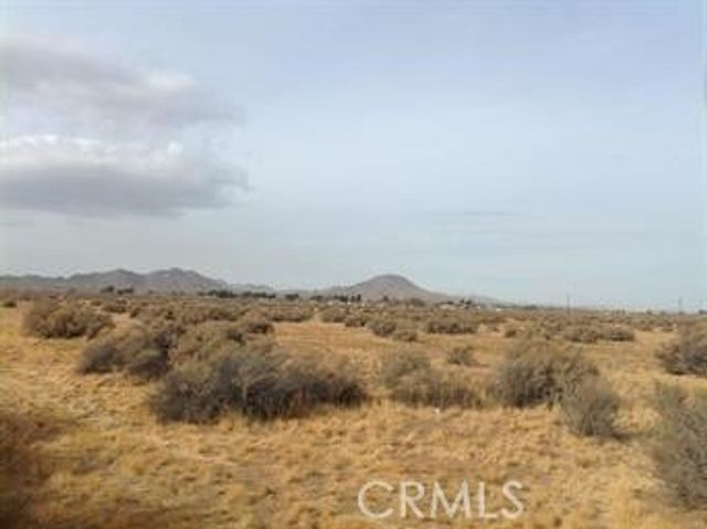 Thunderbird, Apple Valley