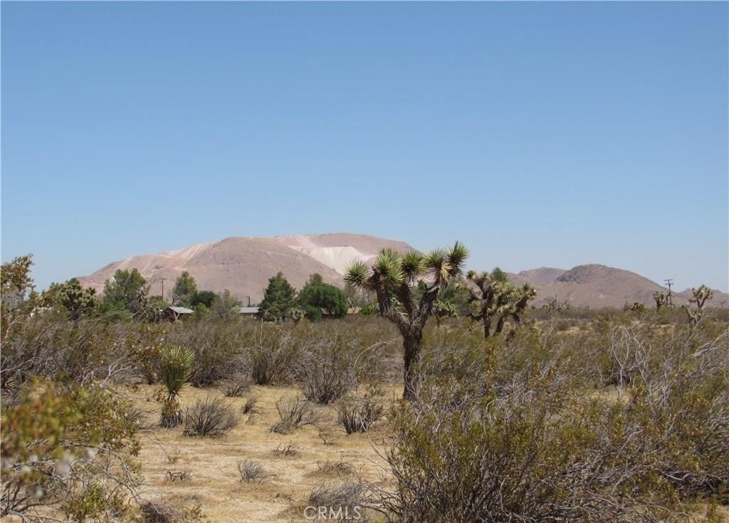 Photo of Listing #IG26048409