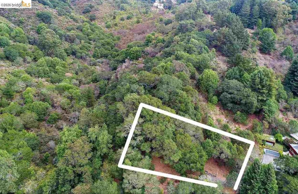 Photo of Listing #41126292