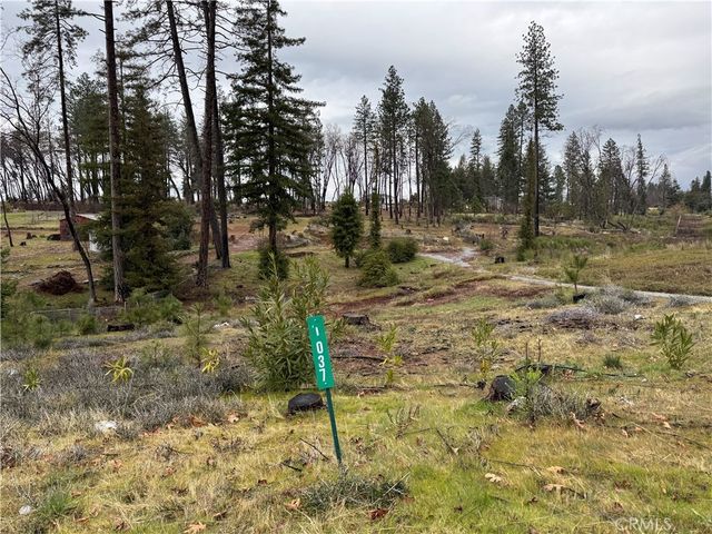 1037 Thomasson Lane, Paradise