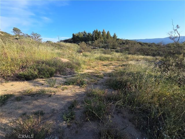 1007 Roan Way, Aguanga