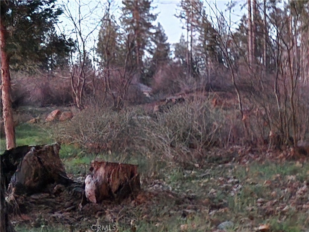 Photo of Listing #SN26050666