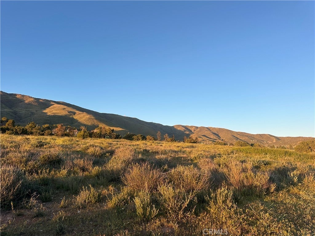 Photo of Listing #SR26050699