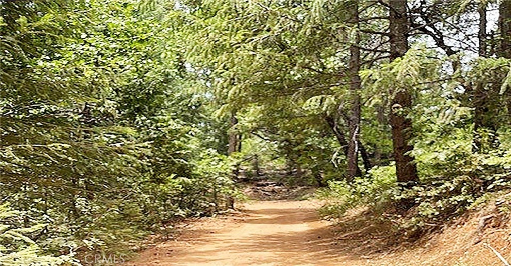 Photo of Listing #PI26051668