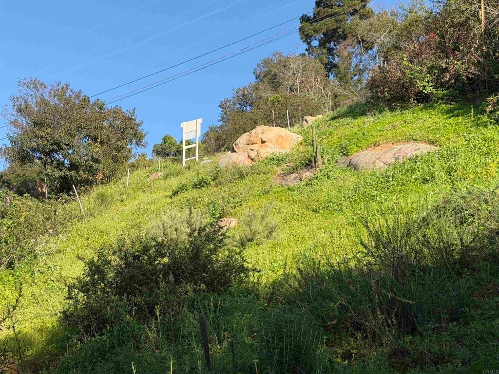 Photo of Listing #PTP2601807