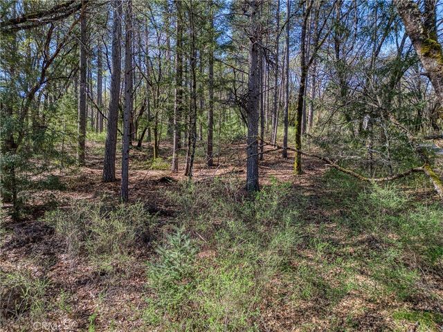 15347 Western Mine, Middletown