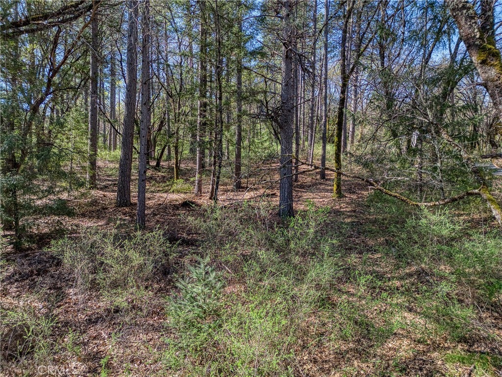 Photo of Listing #LC26040930