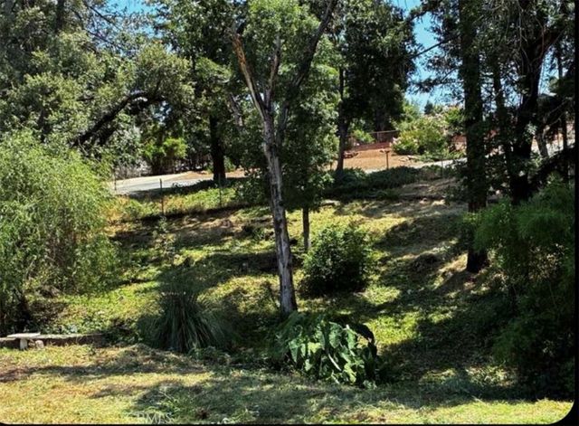 5432 Scottwood, Paradise