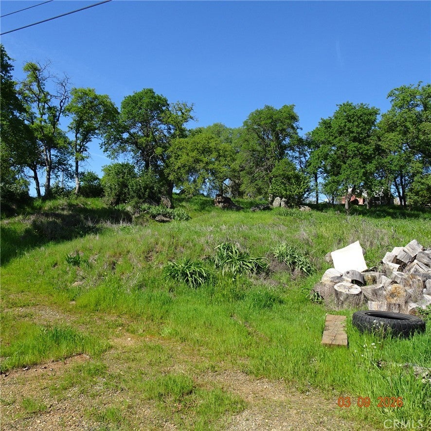 Photo of Listing #OR26052278