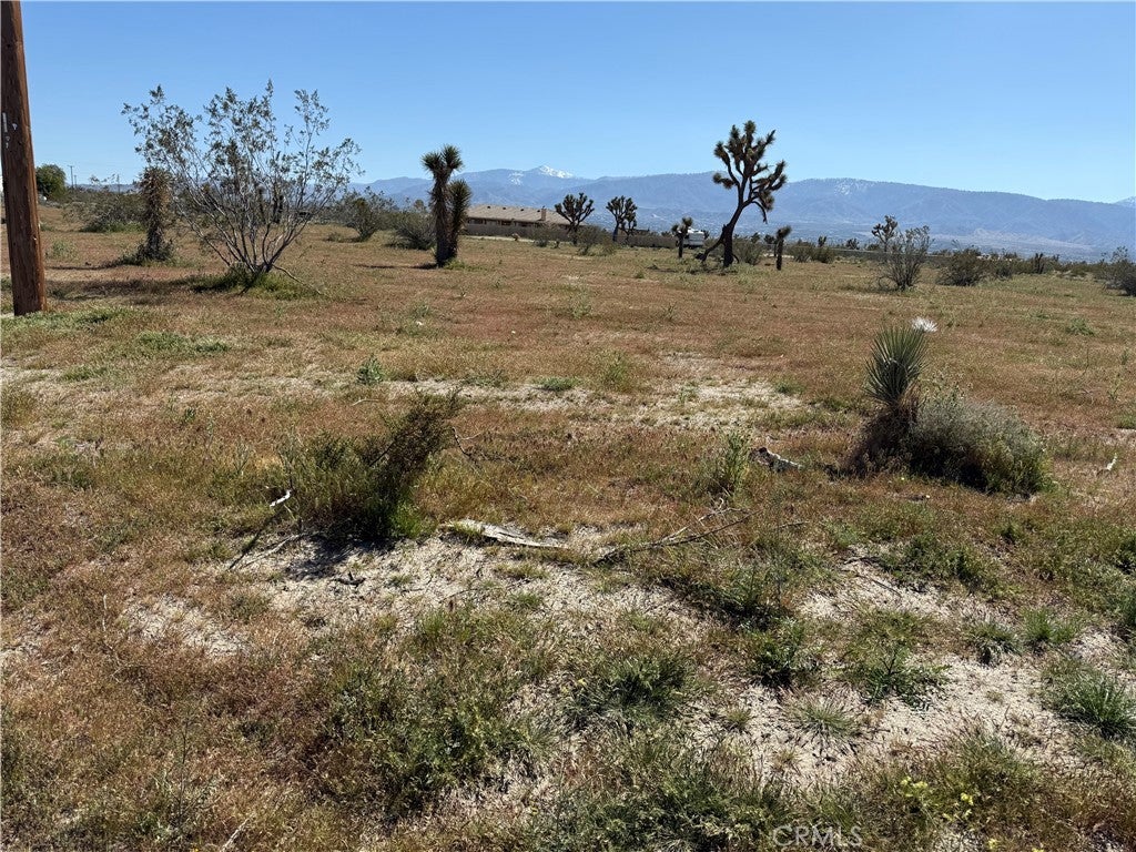 Photo of Listing #HD26052631