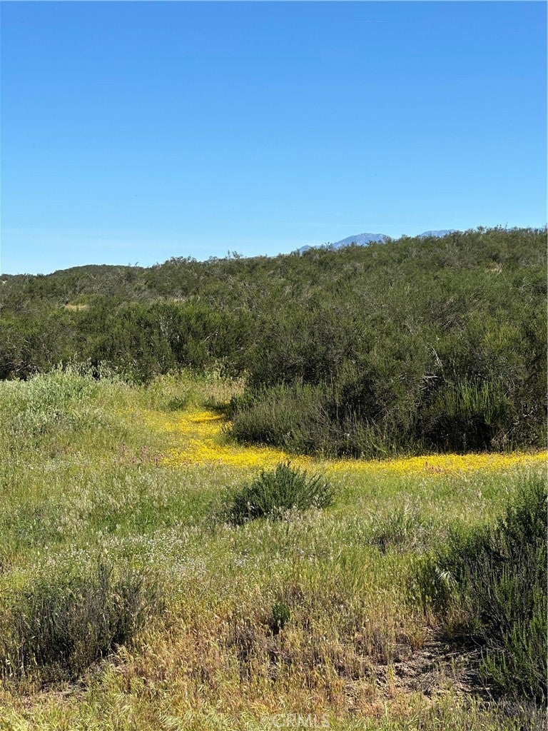 Photo of Listing #SW26053173