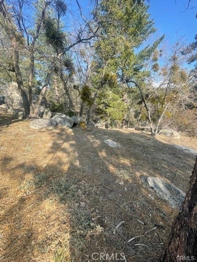 Forrest Dr, Running Springs