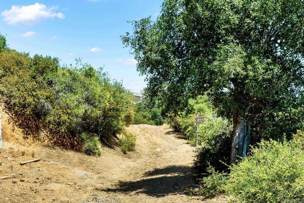 Photo of Listing #260005677SD