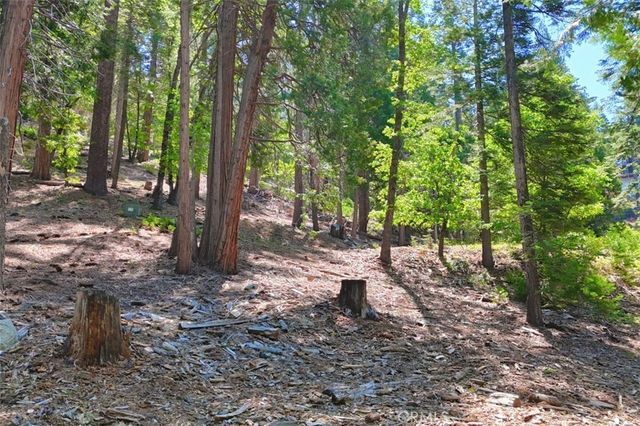 7220 Yosemite Park Way, Yosemite