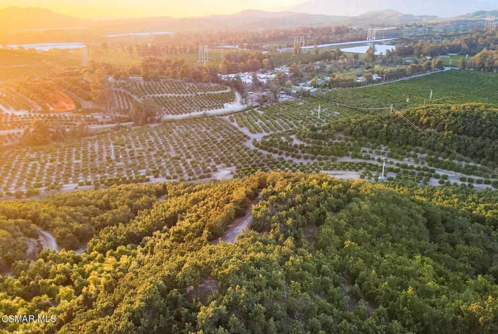 Photo of Listing #226001152