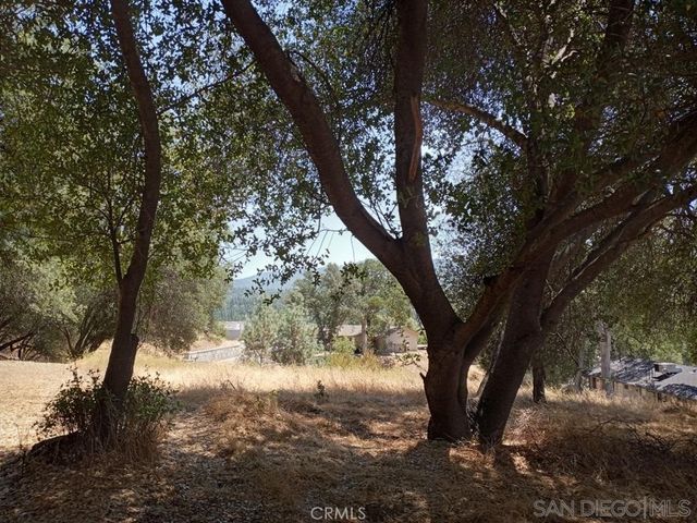 Live Oak Drive, Oakhurst