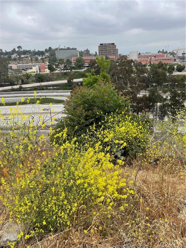 Photo of Listing #DW26055251