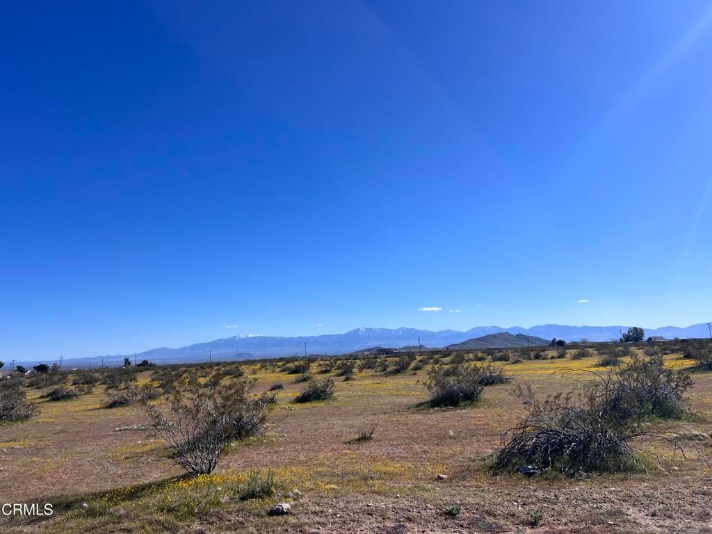 Photo of Listing #V1-35164