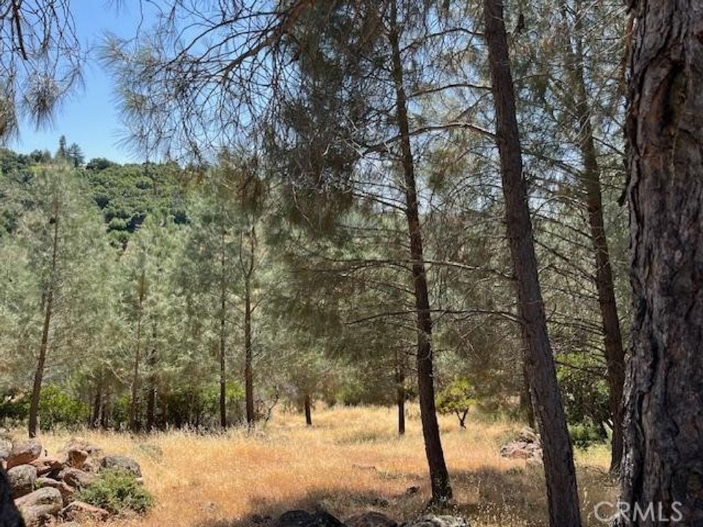 10353 Walnut Way, Kelseyville
