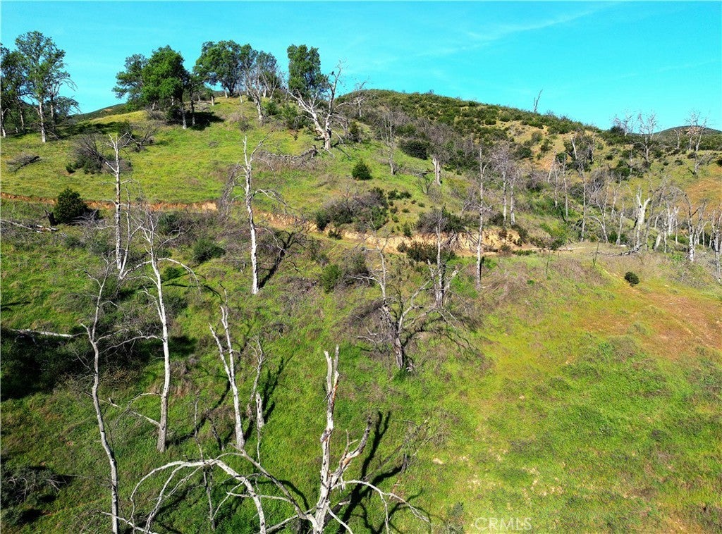 Photo of Listing #LC26056207